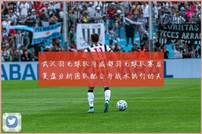 武汉羽毛球队与成都羽毛球队赛后复盘分析团队配合与战术执行的关键因素