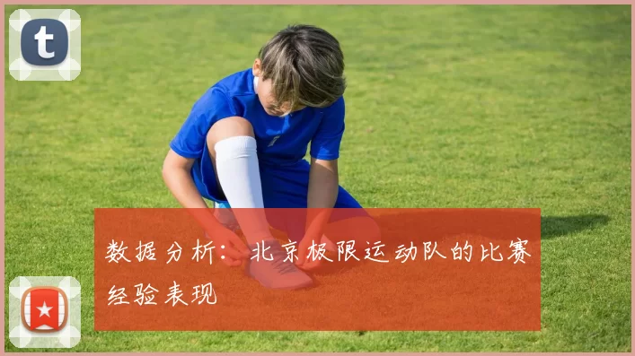 数据分析：北京极限运动队的比赛经验表现