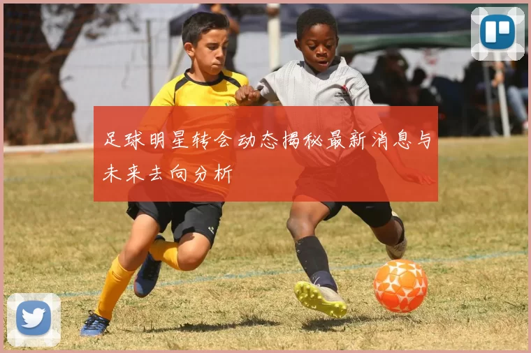足球明星转会动态揭秘最新消息与未来去向分析