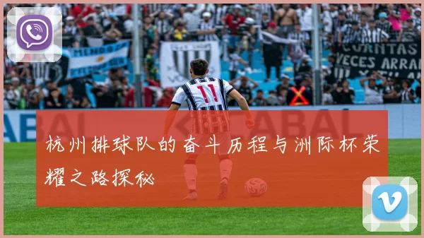 杭州排球队的奋斗历程与洲际杯荣耀之路探秘