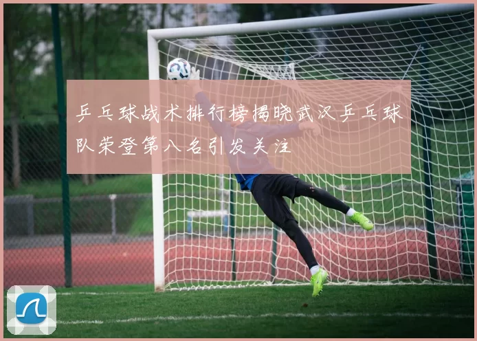 乒乓球战术排行榜揭晓武汉乒乓球队荣登第八名引发关注