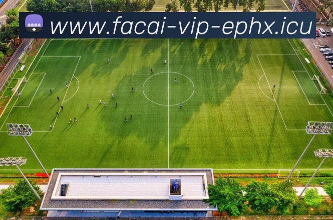 乐鱼体育平台生态图